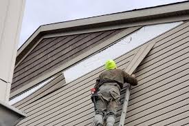 Best Historical Building Siding Restoration  in Moriches, NY